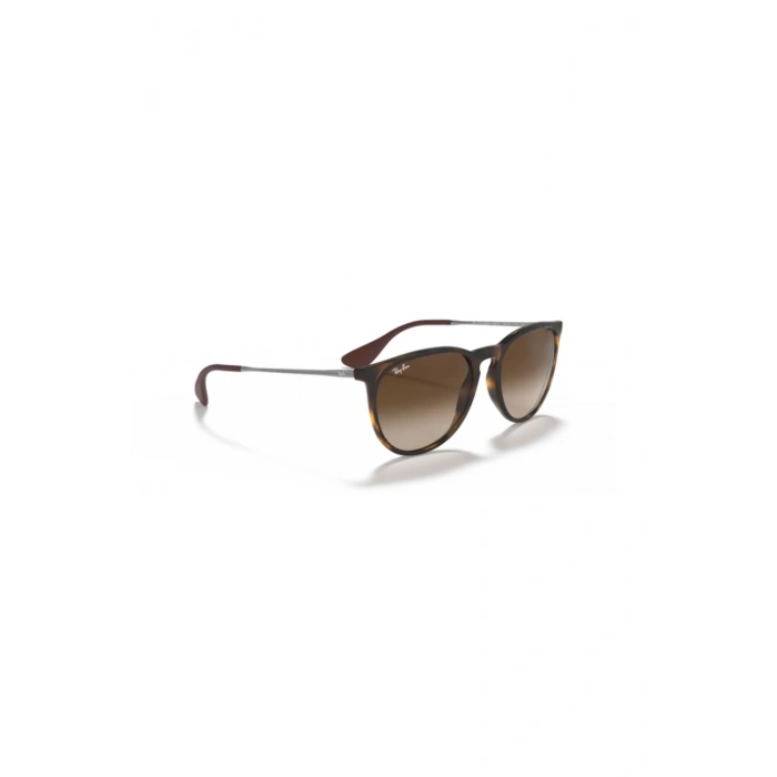Rayban Unisex Güneş Gözlüğü RB4171-865/13