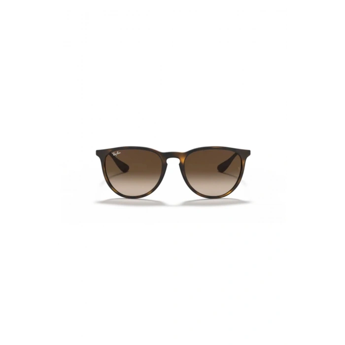 Rayban Unisex Güneş Gözlüğü RB4171-865/13