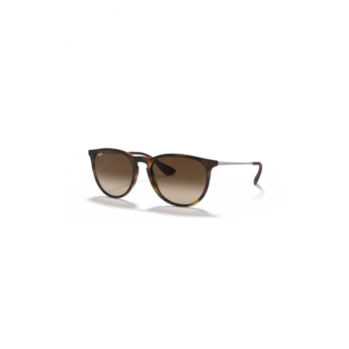 Rayban Unisex Güneş Gözlüğü RB4171-865/13