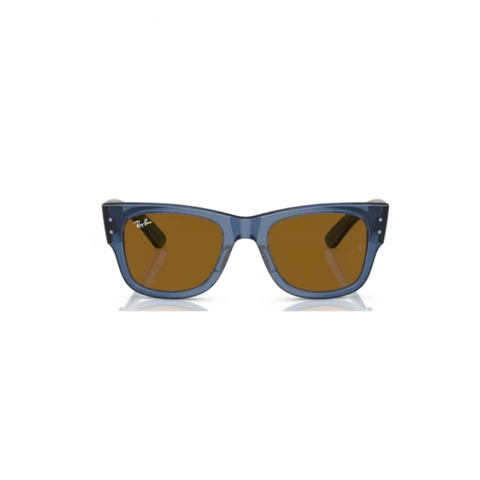 Rayban Unisex Güneş Gözlüğü RB0840S-668073