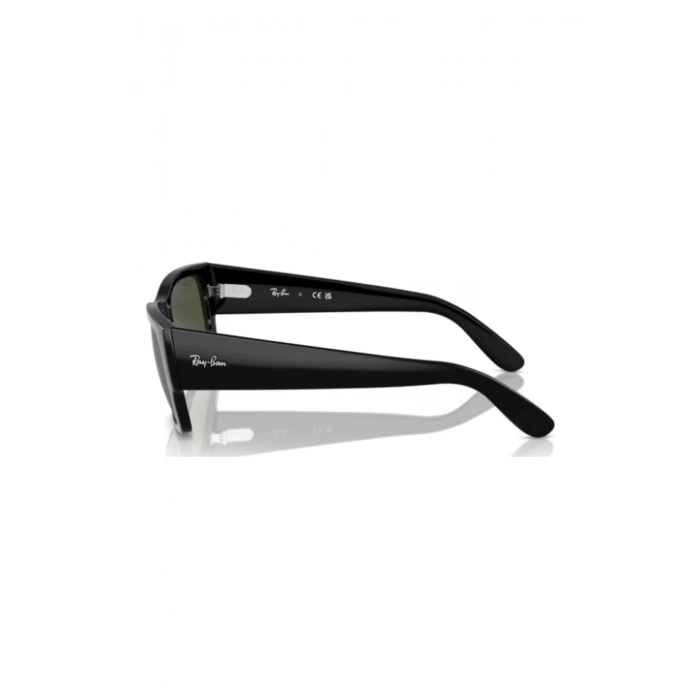 Rayban Unisex Güneş Gözlüğü RB0947S 901/31