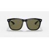 Ray-Ban Unisex Güneş Gözlüğü - Kare Siyah Kemik Çerçeve Yeşil Cam Polarize %100 UV Koruma 4260D