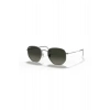 Rayban Unisex Güneş Gözlüğü 0RB3548N-004/71-54