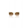 Rayban Unisex Güneş Gözlüğü RB3447-001/71 53