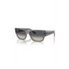 Rayban Unisex Güneş Gözlüğü RB0947S 667571