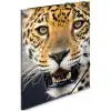 HERMA A4 LASTIKLI DOSYA PP LEOPAR