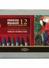 Set Of Woodless Aquarell Coloured Pencils 8782 12