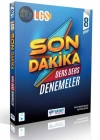 YANIT 8. SINIF LGS Son Dakika Ders Ders Denemeler