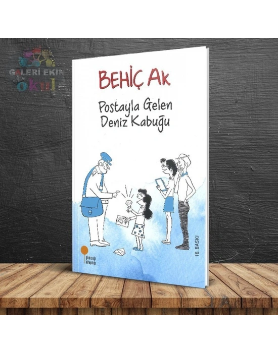 POSTAYLA GELEN DENİZ KABUĞU