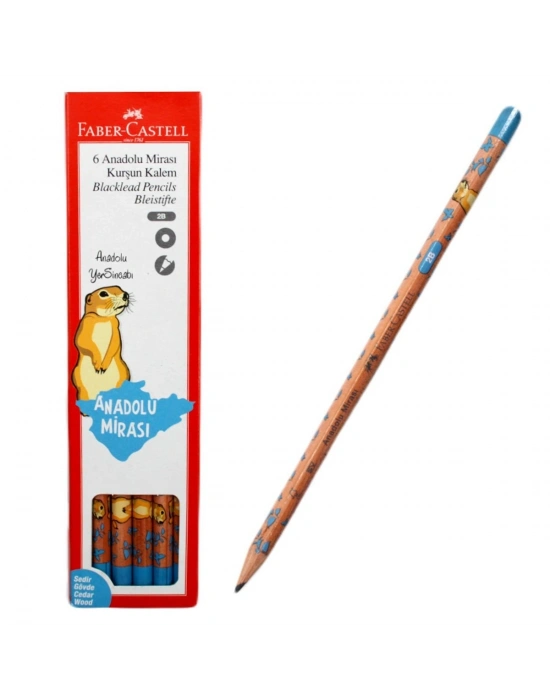 FC Anadolu Mirası Kurşun K, 6lı