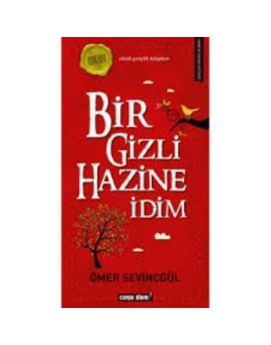 BİR GİZLİ HAZİNE İDİM