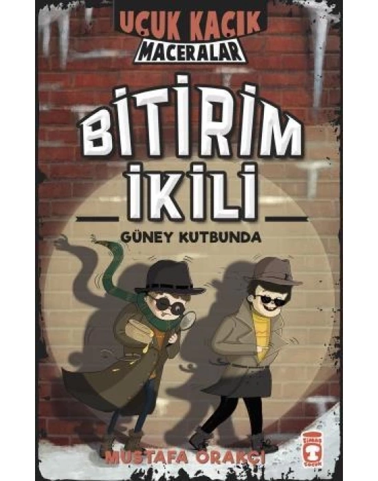 Bitirim İkili Güney Kutbunda