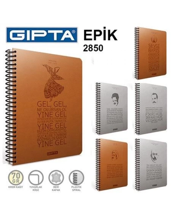 GIPTA EPİK SP-120 YP.ÇİZ.SERT KPK.DEF. 17x24