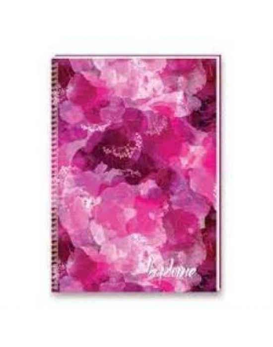 K.Color A4 La Plume Def. 100 Yp.Çizgili PP Kp.Spr.