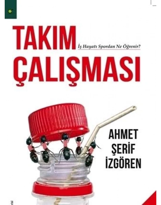 Takım Çalışması