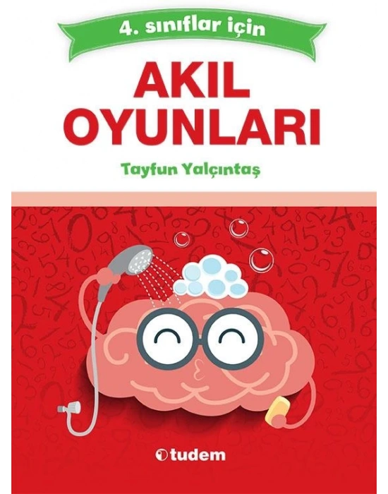 TUDEM 4. SINIF AKIL OYUNLARI