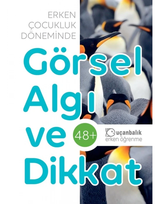 TUDEM GÖRSEL ALGI VE DİKKAT 48+