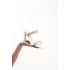 Kadın Tasarım Taşlı Beyaz Tarz Terlik