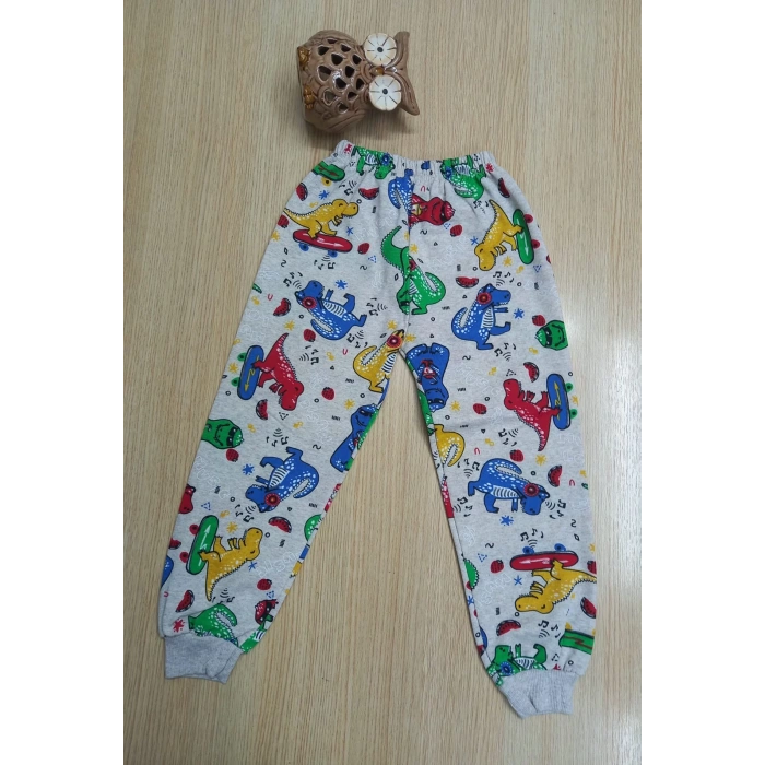 Erkek Çocuk Dİnazor Baskılı Şardonlu İçi Pamuklu İkili Takım