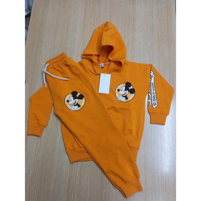 Karekter Baskılı Kapüşonlu 2İplik Kompak Penye İkili Takım