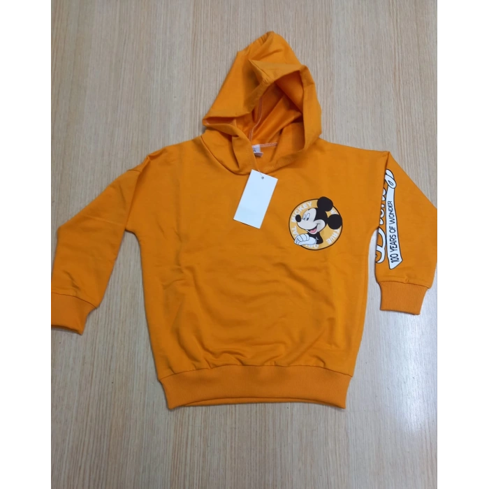 Karekter Baskılı Kapüşonlu 2İplik Kompak Penye İkili Takım