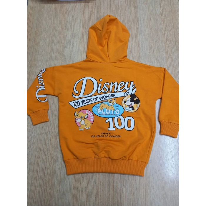 Karekter Baskılı Kapüşonlu 2İplik Kompak Penye İkili Takım