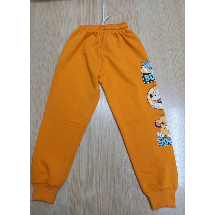 Karekter Baskılı Kapüşonlu 2İplik Kompak Penye İkili Takım