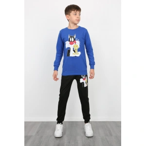 Erkek Çocuk Tom Jerry Baskılı Kompak Penye İkili Takım