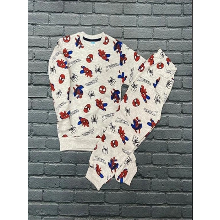 Erkek Çocuk Spiderman Baskılı Mevsimlik İkili Takım