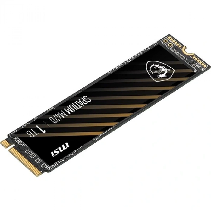 MSI 1TB SPATIUM M470 PRO 6000-4500MB/s M2 NVME GEN4 DİSK