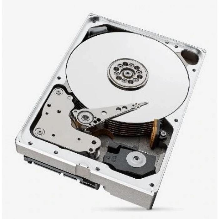 SEAGATE 3.5 4TB IRONWOLF PRO ST4000NT001 256MB 7200RPM SATA-3 KURUMSAL NAS DİSKİ