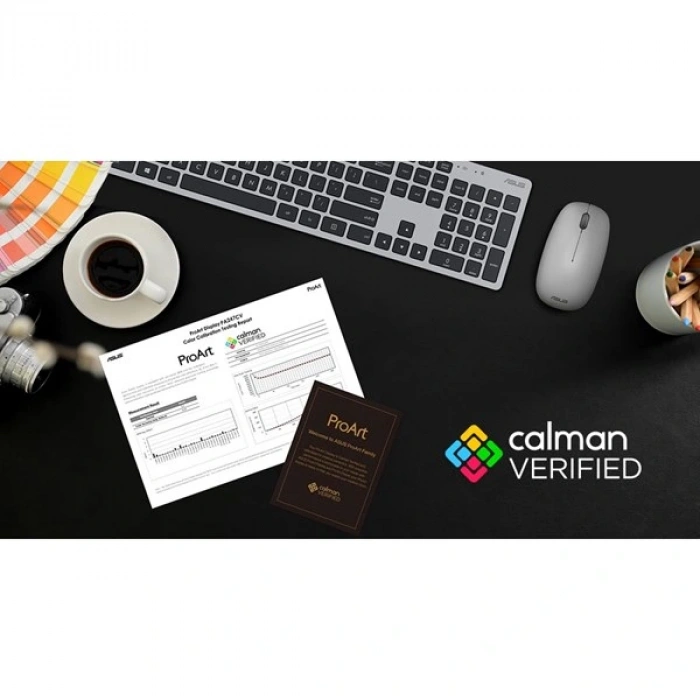 ASUS PROART 23.6IPS  PA247CV 5MS 75HZ DP USB C MONITÖR