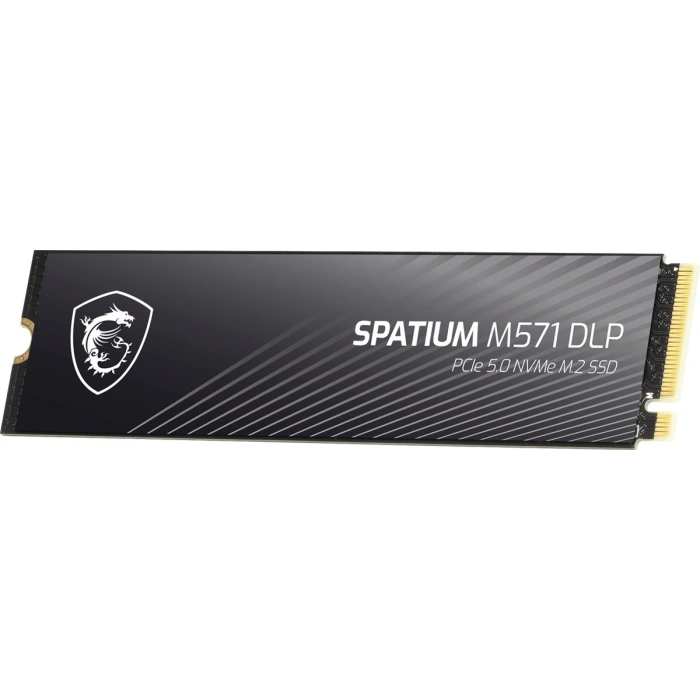 MSI 2TB SPATIUM M571 DLP 14500-11000 M2 NVME GEN5 Disk