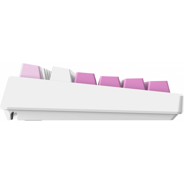 MSI Q TR GG Forge GK600 TKL Violet Switch Mekanik Beyaz/Mor Oyuncu Klavyesi