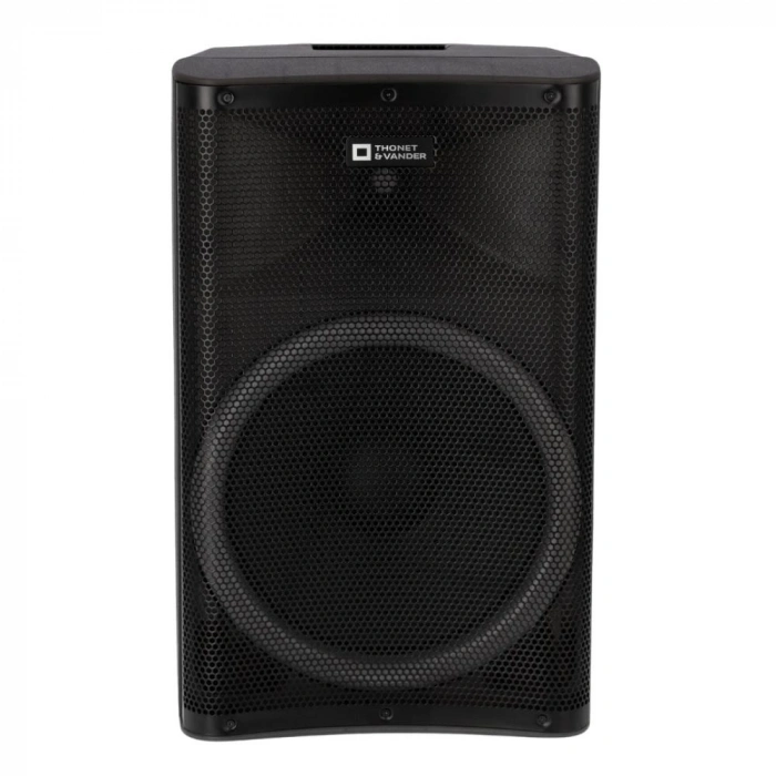 THONET & VANDER Stark Gen2 HK096-03646 250W RMS TWS Bluetooth 5.0 RGB Kablosuz Mikrofonlu Party Speaker