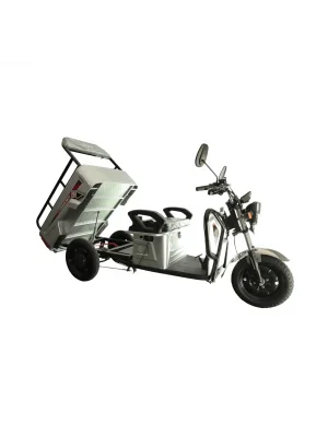 JGR Motor Cargo Run 3 Tekerli Elektrikli Motosiklet