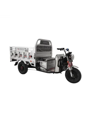 Leksas Dali 15000 S 3 Tekerli Elektrikli Motosiklet