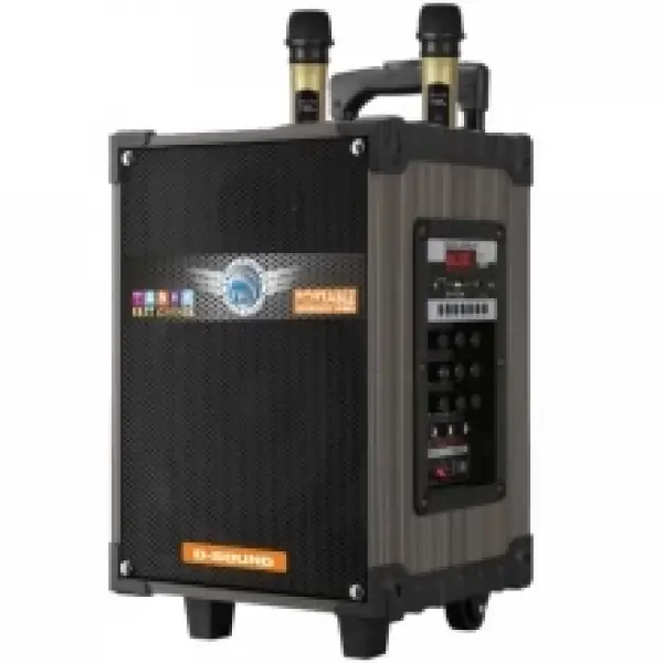 D-Sound DS-912 3 Kanal Taşınabilir Şarjlı Hoparlör