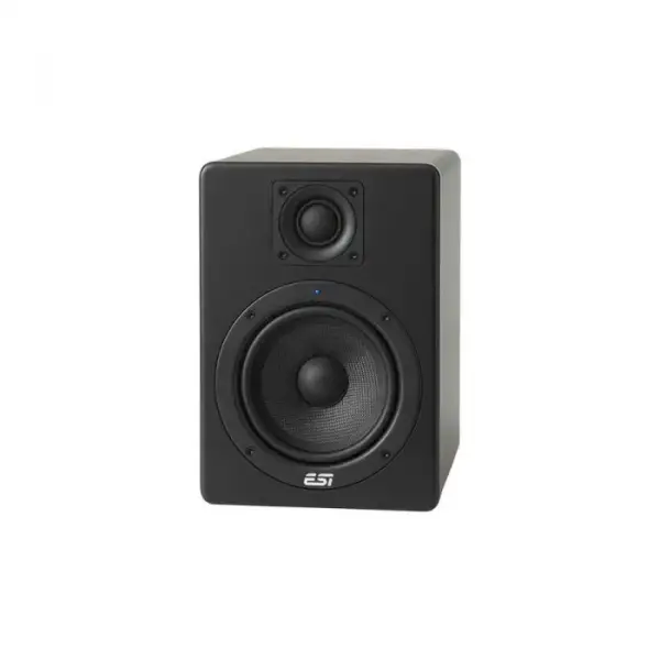 ESI Audio Aktiv 05 Stüdyo Referans Hoparlör
