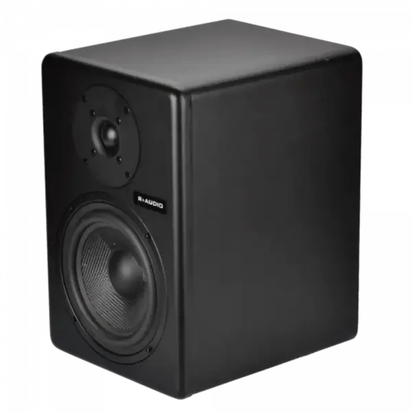 R+ AUDIO C6 6 Stüdyo Referans Monitörü