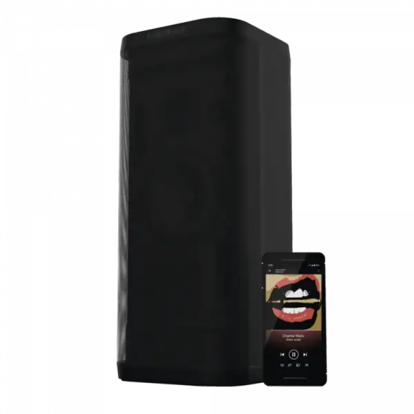 Reloop Groove Blaster BT Bluetooth Hoparlör