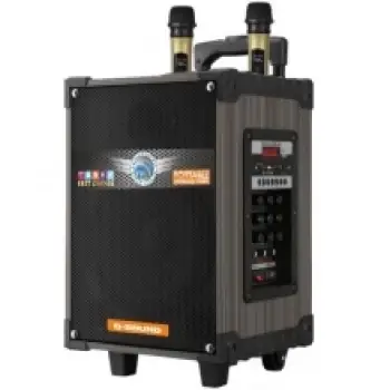 D-Sound DS-912 3 Kanal Taşınabilir Şarjlı Hoparlör