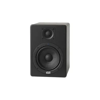ESI Audio Aktiv 05 Stüdyo Referans Hoparlör