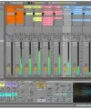 Ableton Live 11 Intro Daw Yazılımı