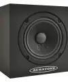 Auratone 5C Super Sound Referans Monitör