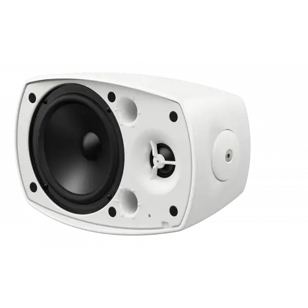 Pioneer CM-S54T 4.5 Seslendirme Hoparlörü