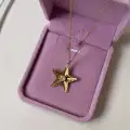 Çelik Yıldız Melodisi Kolye