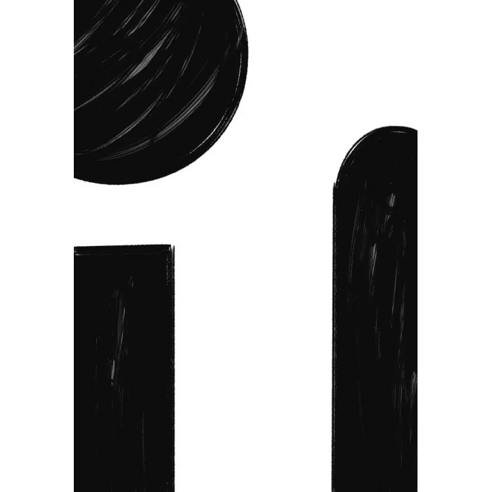 2 PARÇA SOYUT SİYAH BEYAZ KANVAS TABLO