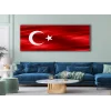TÜRK BAYARAĞI KANVAS TABLO