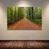 ORMAN YOLU KANVAS TABLO